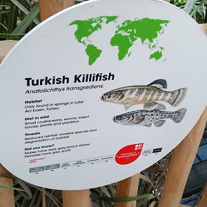 Signage in Thriving through nature.