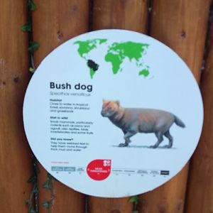 Bush dog Signage