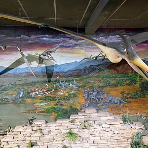 Reptile House Interior