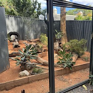 Bilby enclosure