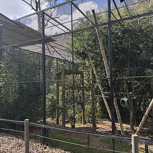 Squirrel monkey enclosure