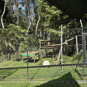 Sun bear enclosure