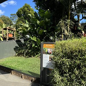 Red panda enclosure