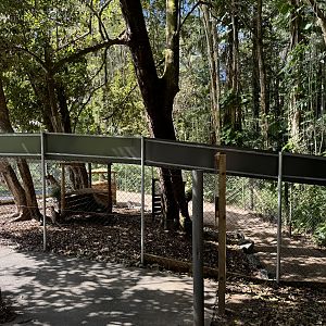 New rock-wallaby enclosure