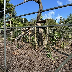 Enclosure under renovation