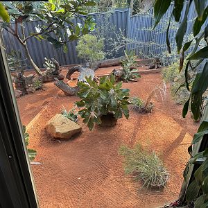 Bilby enclosure