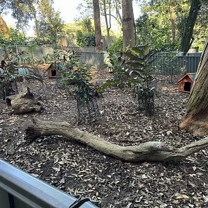 New potoroo/bettong enclosure