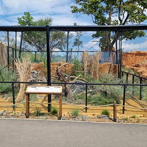 Pallas's cat enclosure (right)