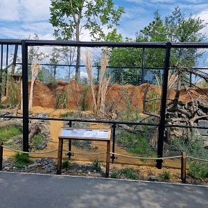 Pallas's cat enclosure (left)