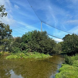 African walkthrough aviary