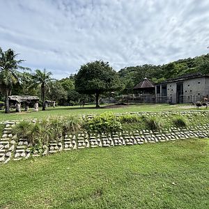 African Savanna (7 species)