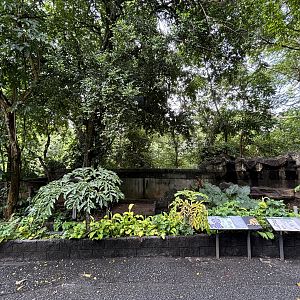Binturong/Small-clawed Otter Exhibit