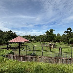 African Savanna - overlook