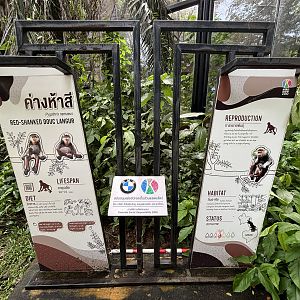 Red-shanked Douc Langur Signs