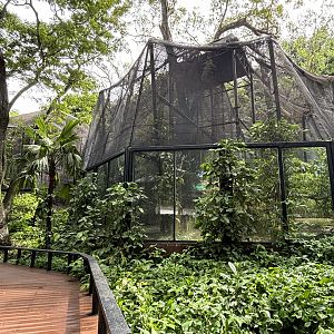 Multiple Red-shanked Douc Langur Exhibits