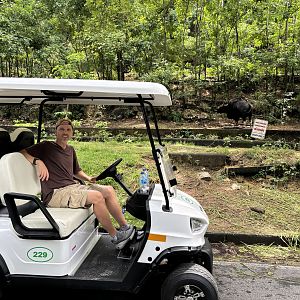 Me + Gaur (the zoo requires everyone to rent a golf cart)