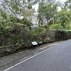 Row of multiple Binturong Exhibits