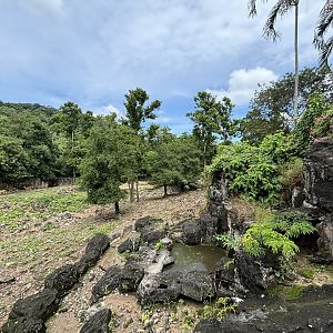 Sambar + Barasingha Exhibit