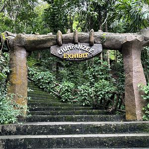 Chimpanzee Exhibit - entrance