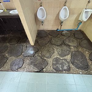 Toilets - tree stump flooring