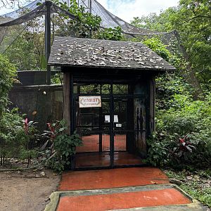 Australia - walk-through aviary