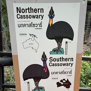 Cassowary Sign