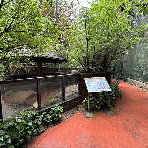 Common Wombat Exhibit