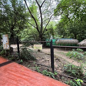 Red-necked Wallaby Exhibit