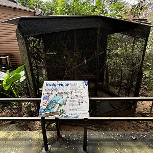 Budgie Aviary