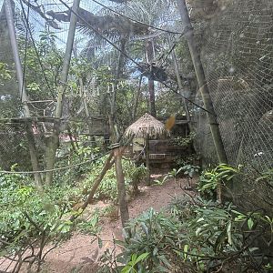 Giant Anteater + Squirrel Monkey Exhibit