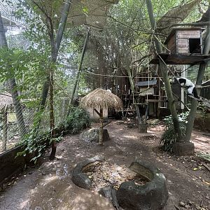 Black-and-white Ruffed Lemur Exhibit