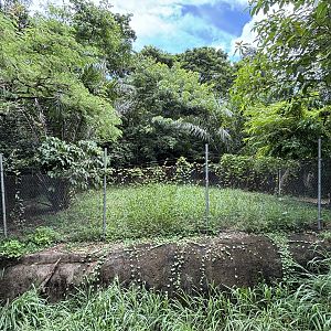 Golden Jackal Exhibit