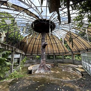 Abandoned Tiger Show Area