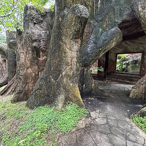 Row of small cat exhibits