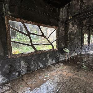 Tiger Exhibit #2 - Indochinese