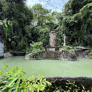 Tiger Exhibit #2 - Indochinese