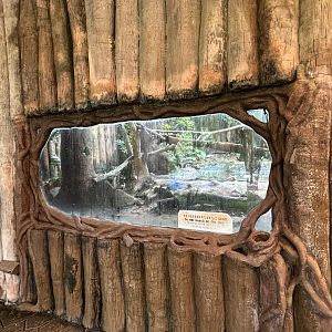 Tiger Exhibit #4 - Indochinese