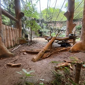 Jaguar Exhibit - black specimen