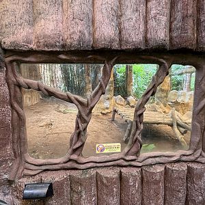 Tiger Exhibit #4 - Indochinese