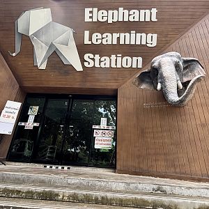 Elephant Learning Station