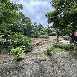 Asian Elephant Exhibit