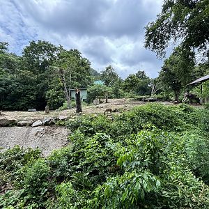 Asian Elephant Exhibit