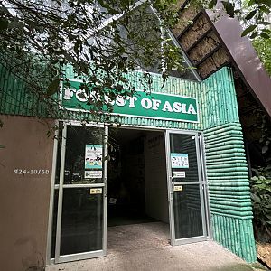 Forest of Asia - entrance