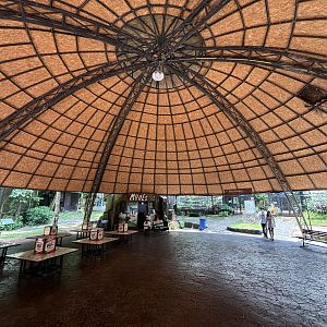 Bird Aviary - entrance zone