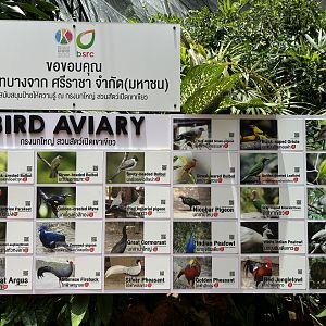 Bird Aviary - species list