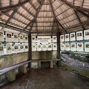 Bird Aviary - species list