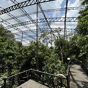 Bird Aviary - world class