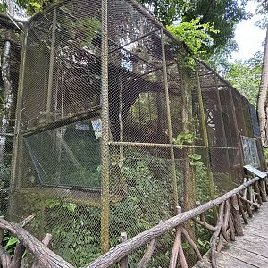 Rhinoceros Hornbill Aviary