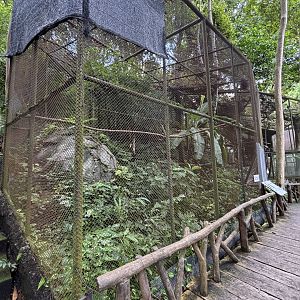 Wreathed Hornbill Aviary