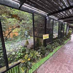 Squirrel Monkey Exhibit #2